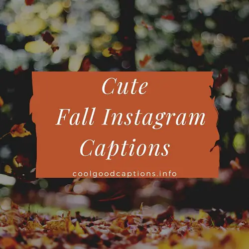 Cute Fall Instagram Captions
