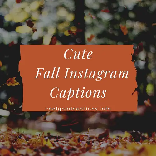 fall photo caption