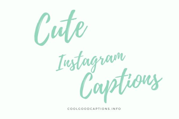 81+ Cute Instagram Captions (Cute Quotes For Boyfriend & Girlfriend)