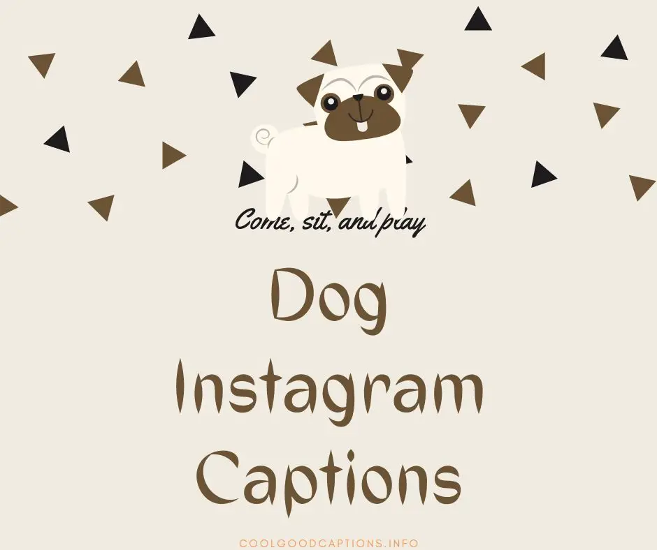 Dog Instagram Captions