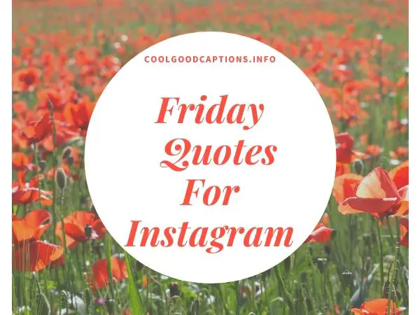 Friday Quotes For Instagram