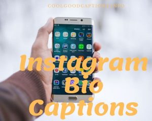 Good 73+ Instagram Bio Captions Quotes Makes Your Profile Engaging!