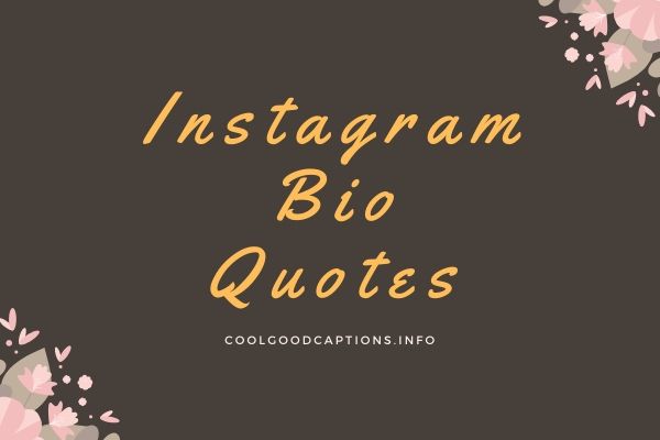 Instagram Bio Quotes