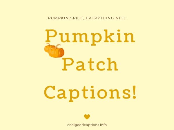 Take Advantage Of Pumpkin Patch Captions 2022