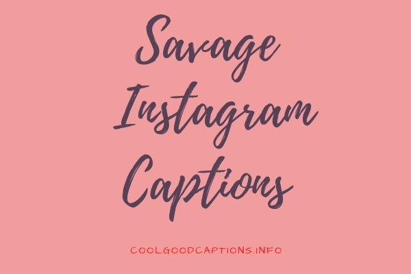Crazy 81 Savage Instagram Captions Added Savage Quotes For Selfie