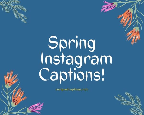 Spring Instagram Captions