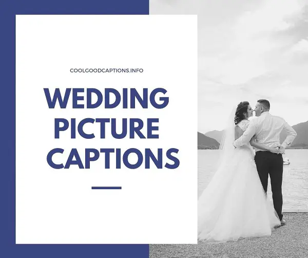 Special 79+ Wedding Photo Captions Funny, Serious & More! for GUEST