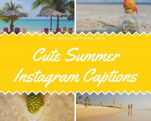 cute summer instagram captions cute summer instagram captions