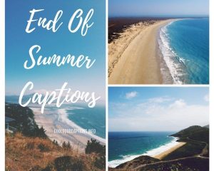 99+ Incredible Summer Instagram Captions for Selfie, Status & More!