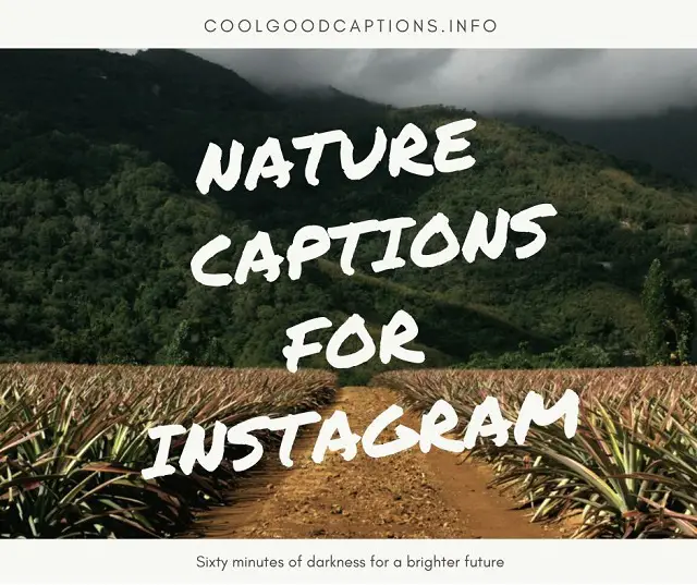 Nature Captions For Instagram