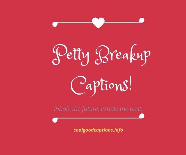 Petty Breakup Captions