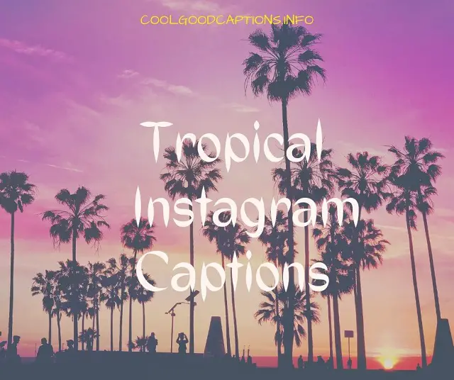 Tropical Instagram Captions