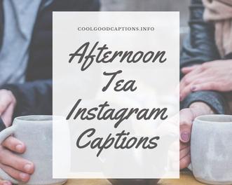 Interesting 91+ Tea Captions for Instagram FUNNY - Short TEA Quotes!