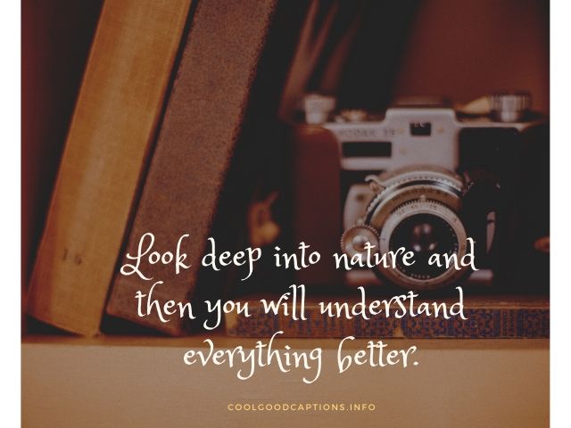 Caption For Nature Photography