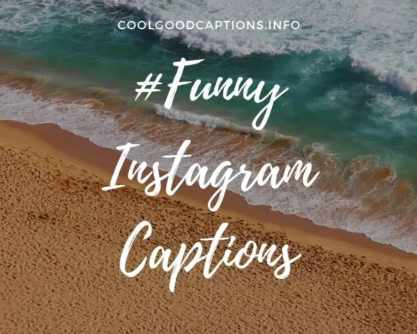 225+ Funny Instagram Captions {Selfie, Couple Pictures ...