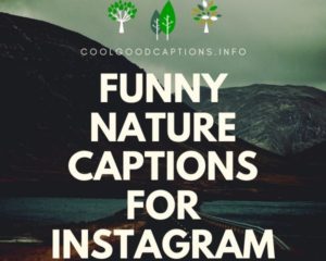 199+ Funny Instagram Captions for Selfie, Couple Pictures, Travel & More