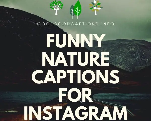 Funny Nature Captions For Instagram