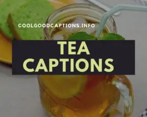 Tea Captions for Instagram