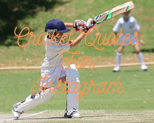 Cricket Quotes For Instagram