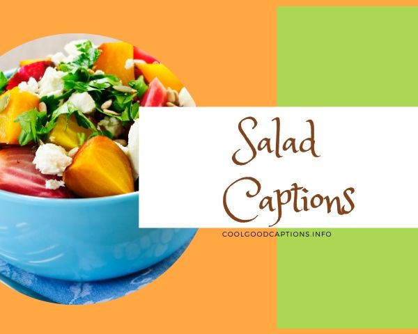 Salad Captions for Instagram
