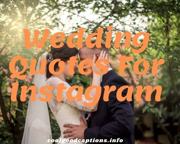 Funny Wedding Captions For Instagram 121+ For Married Couples (2021)