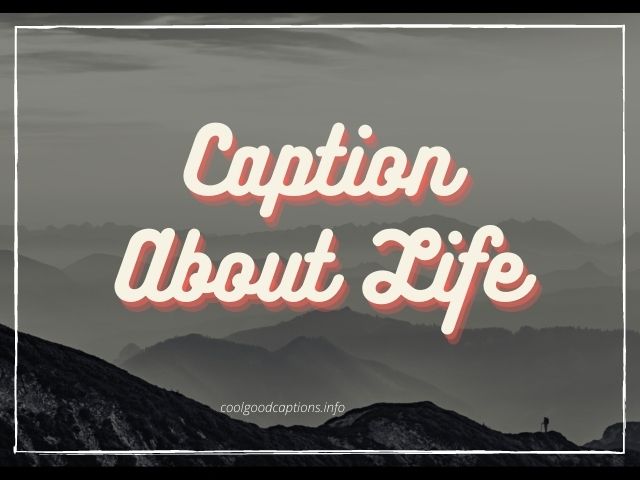 Caption About Life