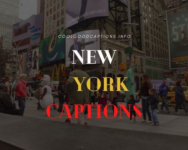 New York Captions