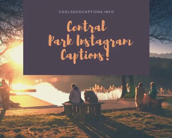 Central Park Instagram Captions