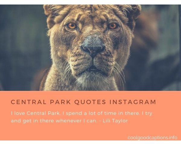 Central Park Quotes Instagram