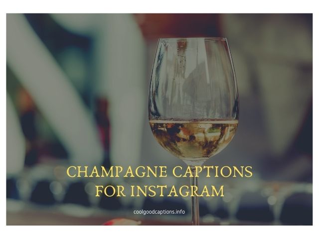 Champagne Captions for Instagram
