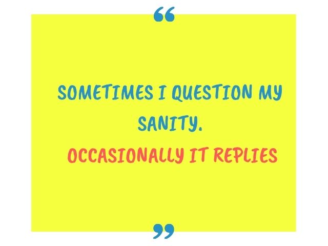 Funny Sarcastic Instagram Captions