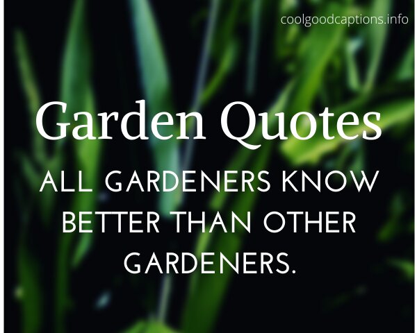 Garden Quotes For Instagram