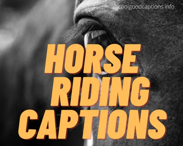 Horse Riding Captions