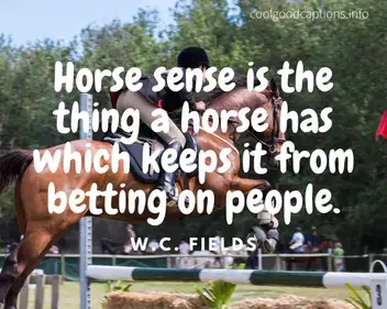 Unique 97 Horse Riding Captions For Instagram Facebook Pictures