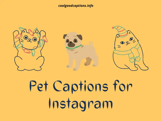 Cute 51+ Pet Captions for Your Next Instagram PET-Pictures!!