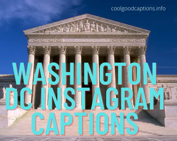 Washington Dc Instagram Captions