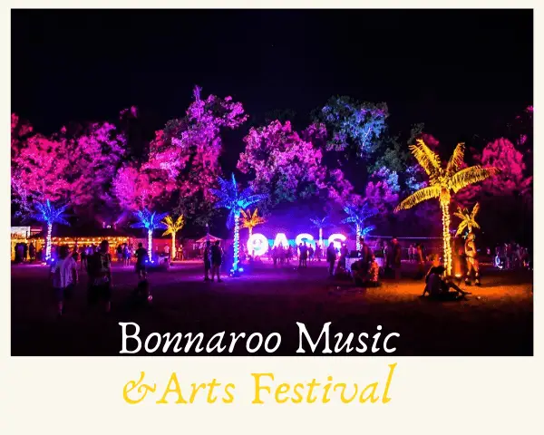 Bonnaroo Music Festival Quotes