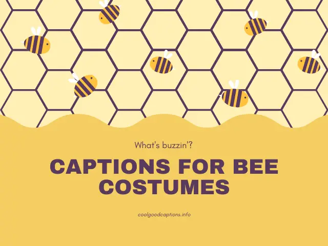 Instagram Captions For Bee Costumes