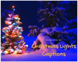 39+ Christmas Lights Captions To Sparkle 'Xmas' Pics on Instagram