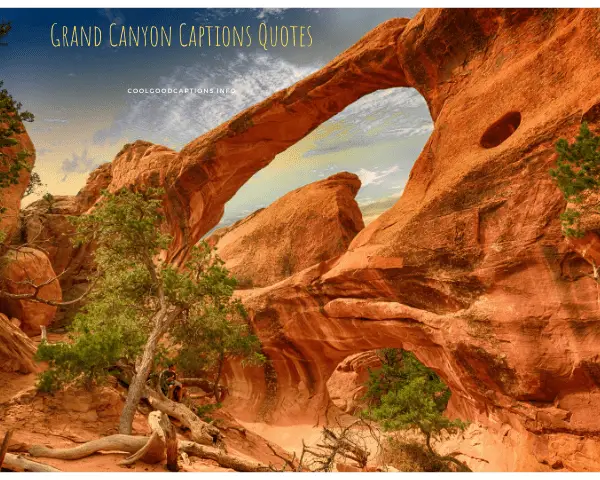 Grand Canyon Quotes
