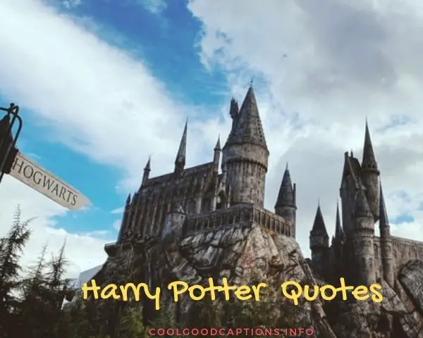 Harry Potter Quotes funny