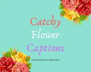 53+ Catchy Flower Captions Funny Quotes About Flowers Blooming!