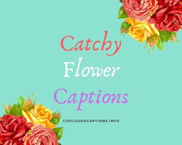 Catchy Flower Captions
