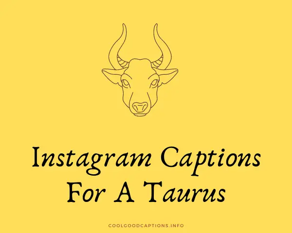 Instagram Captions For A Taurus