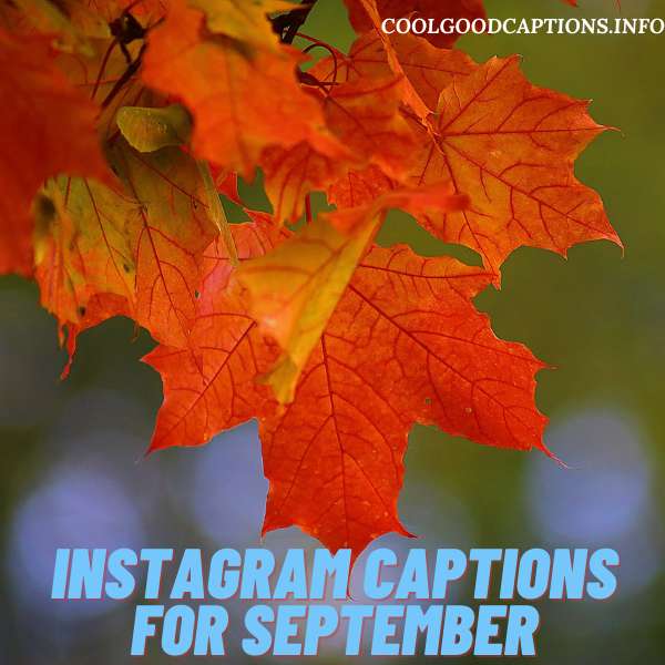 Instagram Captions For September