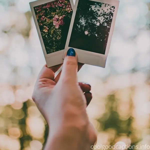 Choose the best Polaroid captions for Instagram Pics