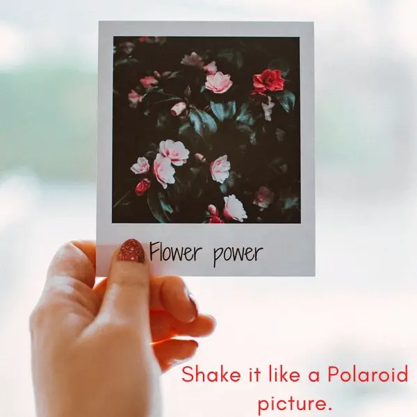 Polaroid Pics Captions For Instagram