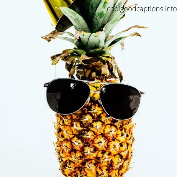 Pineapple Captions for Instagram Photos