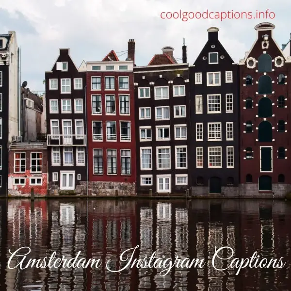 Amsterdam Instagram Captions