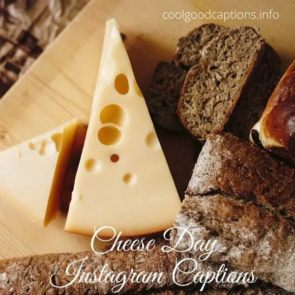 Cheese Day Instagram Captions